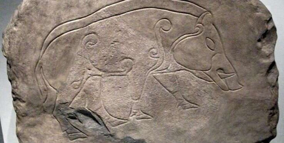 Пікти, Шотландія, генетичне походження, населення залізного віку, культурні групи, давні геноми, матрилінійні, генетичні зв'язки, сучасні групи, Велика Британія, археологічні теорії, Абердинський університет, розкопки, стабільні ізотопи