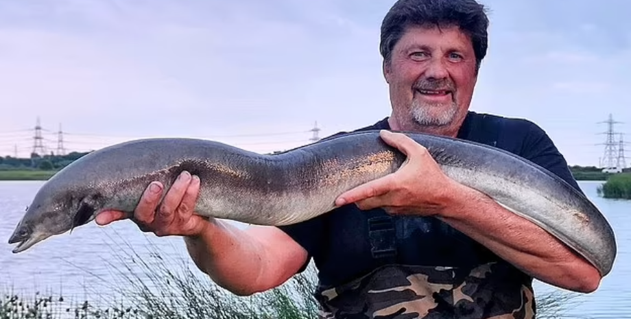 Рыбак выловил самого большого угря в Великобритании, Стив Рикетс, улов, рыбалка, хобби, титул, курьезы, интересные новости