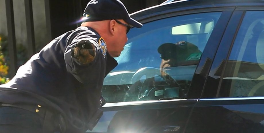 Причины остановки автомобиля, нарушение ПДД, курьез, парик в багажнике автомобиля, парикмахер, Новая Зеландия