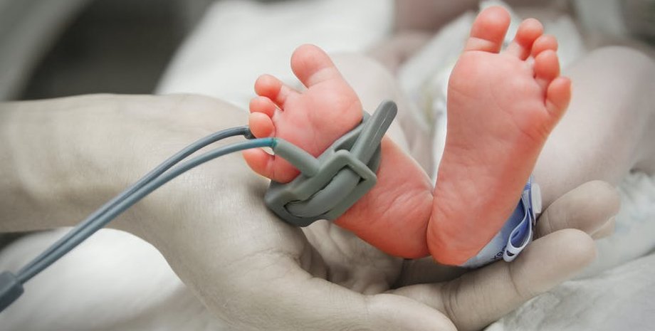 Фото: The Conversation