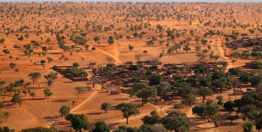 наука, африка, дослідження, зміна клімату, дерева