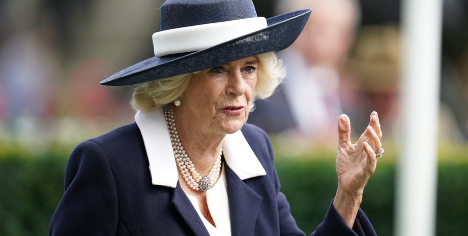 літак, птах, королева консорт камілла, авіапригода