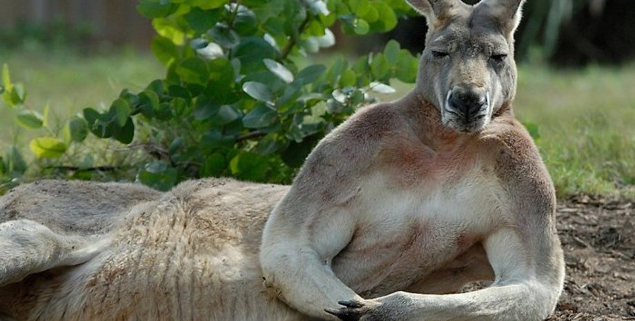 Иллюстративное фото: wallpapercave.com