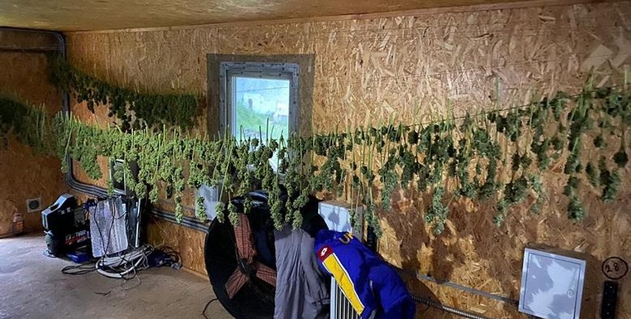 Фото: mvs.gov.ua