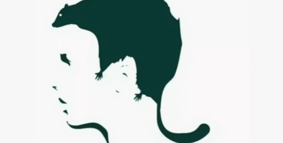 Оптична ілюзія, тест, тест особистості, потаємні страхи, страх, що бачить людина, профіль людини, гризун, психологія