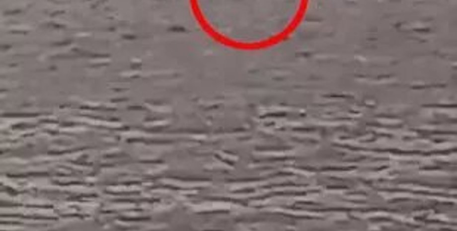 Лох-Несс, Лох-Несское чудовище