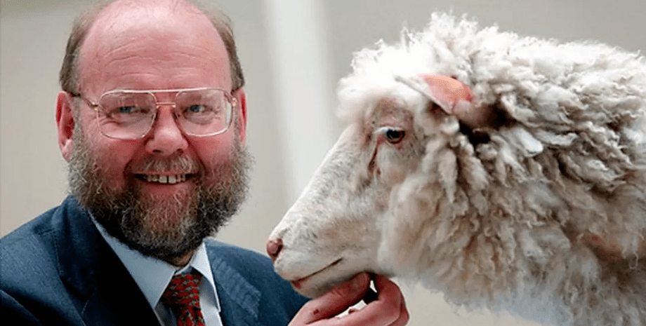 Учений, який клонував овечку Доллі Вчений, клонував овечку Доллі, клонування, Іен Вілмут, помер Іен Вілмут, хвороба Паркінсона, ембріолог, генетик, вчений