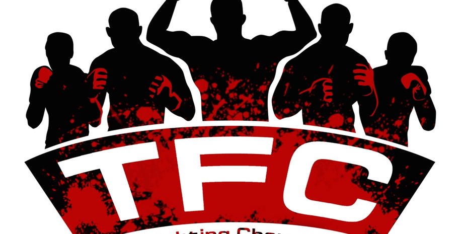 Team Fighting Championship / Фото: kimura.se