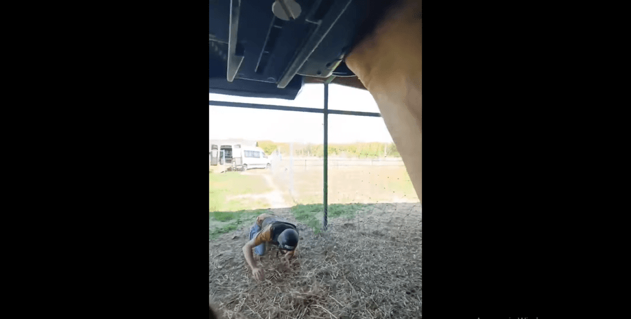 Фельдман-экопарк