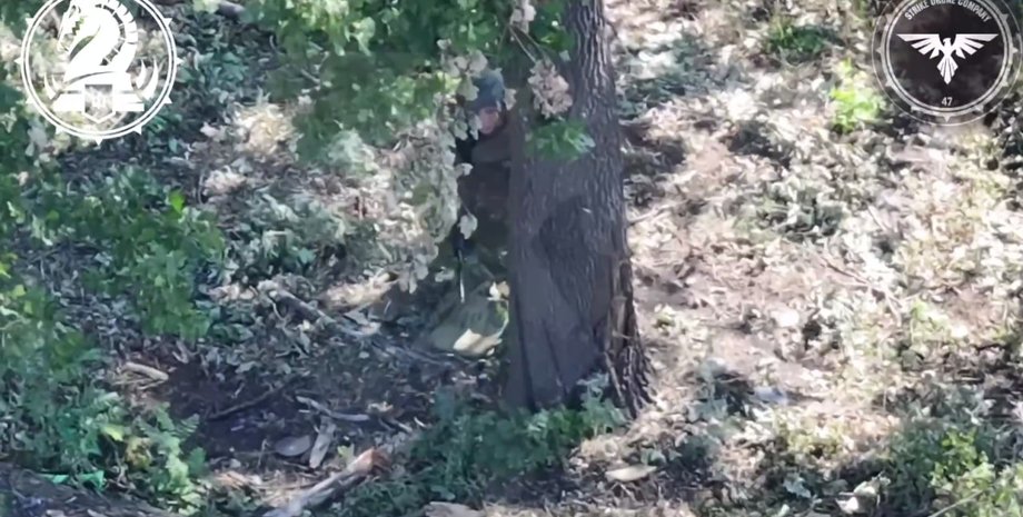 война в украине, война с россией, российские зечки, женщины-оккупантки, покровское направление, ссу, сс рф