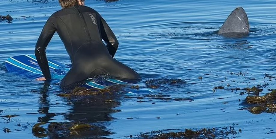 солнечная рыба, плавник солнечной рыбы