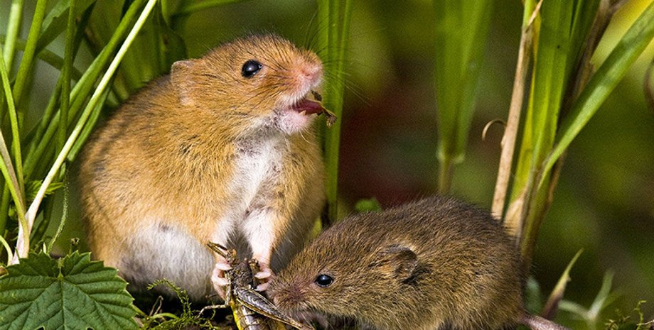 Фото: Популярная механика