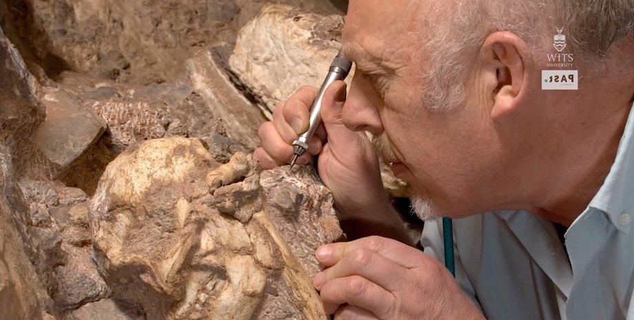 Скриншот: youtube.com /  Wits University OFFICIAL