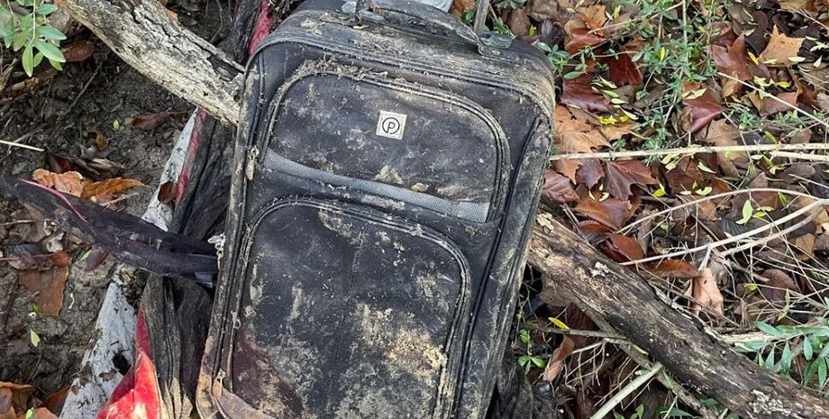 Мужчина нашел чужой чемодан, который выбросили в ручей возле его дома, что внутри, все подробности