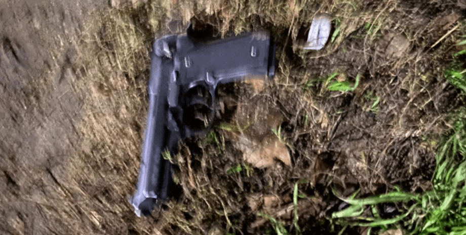 стрельба, николаев, дети, фейерверки, полиция