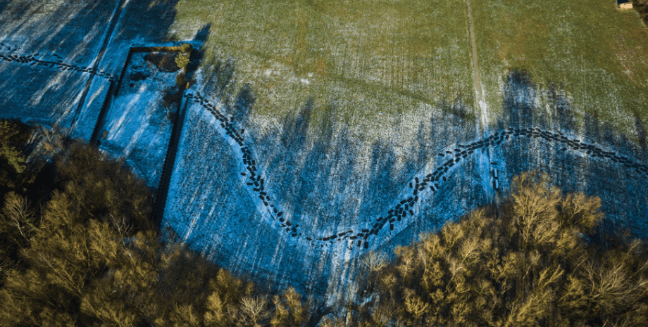 Римская империя, история, ученые, легион, Рейн, Тевтобургский лес, кираса, доспехи, битва, экспансия, исследования, раскопки, музей, находка, археологи, археология