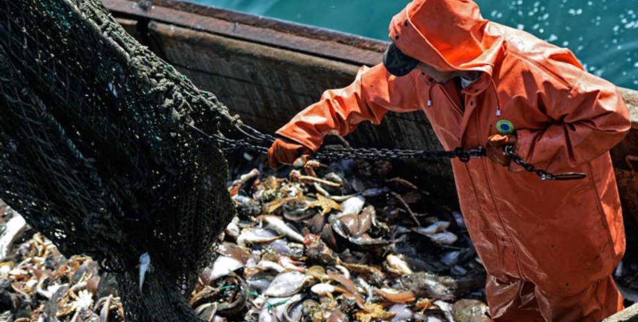 Иллюстративное фото: ТАСС