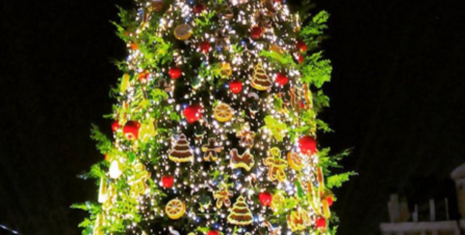 Главная елка страны на Софийской площади в Киеве / Фото: instagram  annabondaren_ko