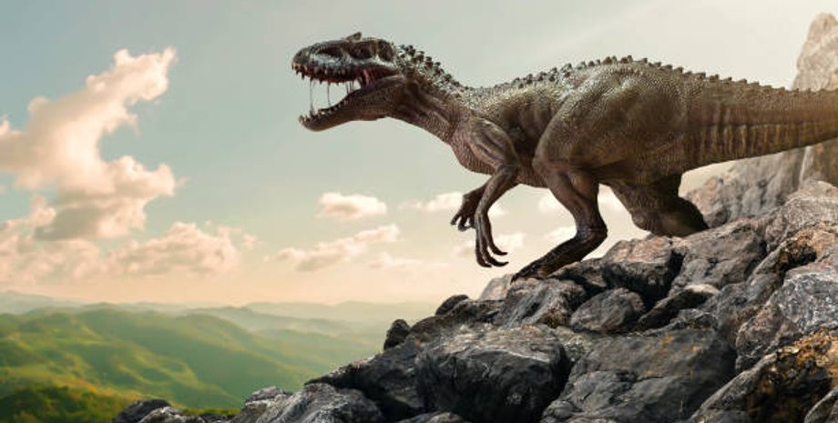 птахоподібний теропод, теропод