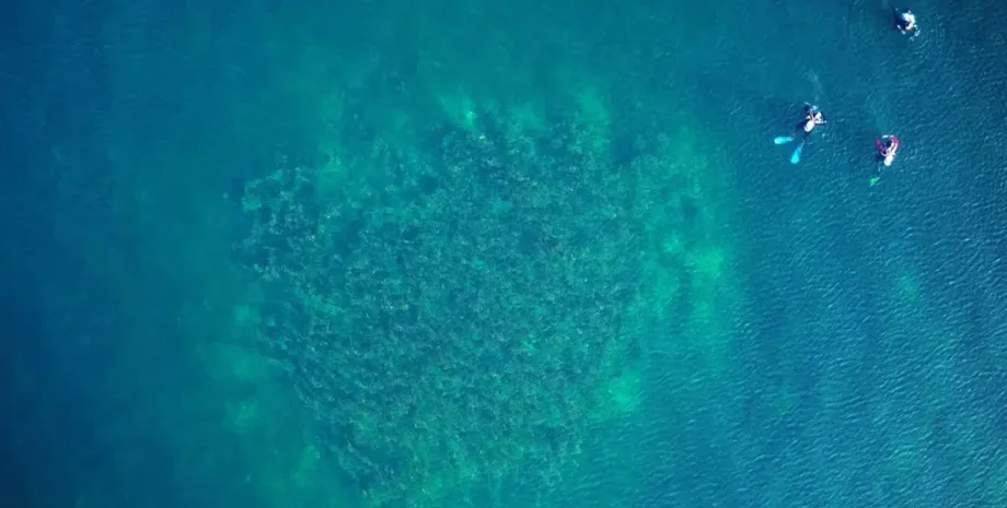 ученые обнаружили гигантские курганы на дне Боденского озера