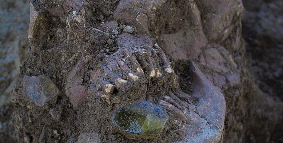 розкопки, археологія, поховання, древні люди, дослідження