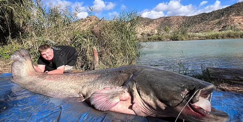 Мальчик поймал 69 килограммового сома, сом, огромная рыба, речной гигант, новый рекорд, гигантская рыба, улов, рыбалка, рыбалка с семьей