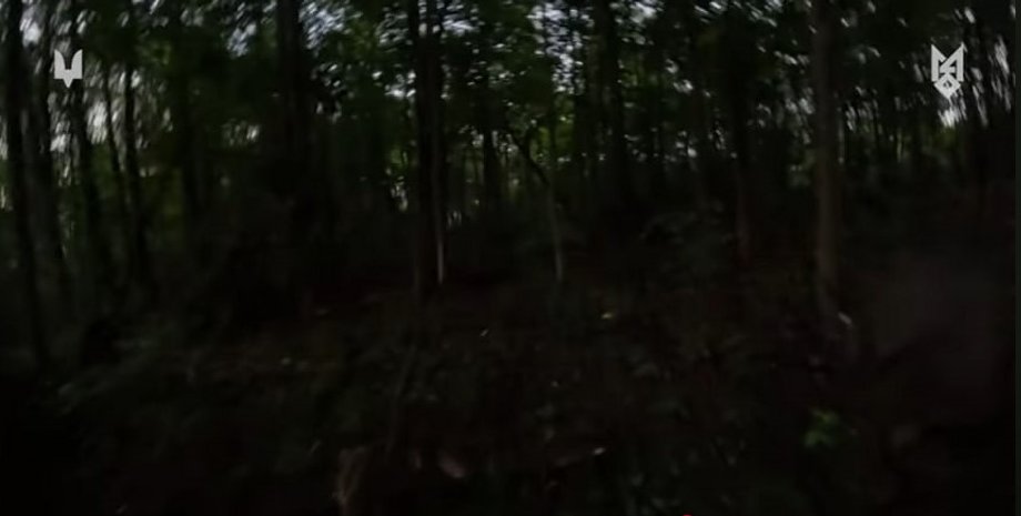 война в украине, война с россией, налет, ссо, сс рф, плен