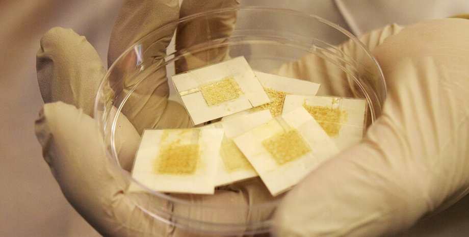 Одноразовые "микропивоварни" для определения уровня радиации. Фото: Purdue University