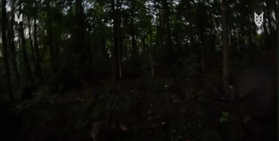 війна в україні, війна з росією, наліт, ссо, зс рф, полон