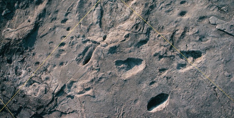 след, окаменелость, фото