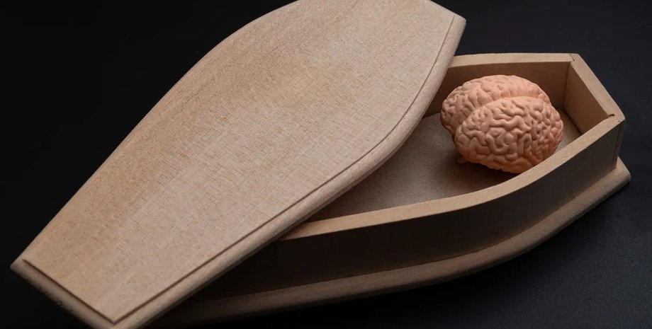 мозок людини, смерть мозку людини