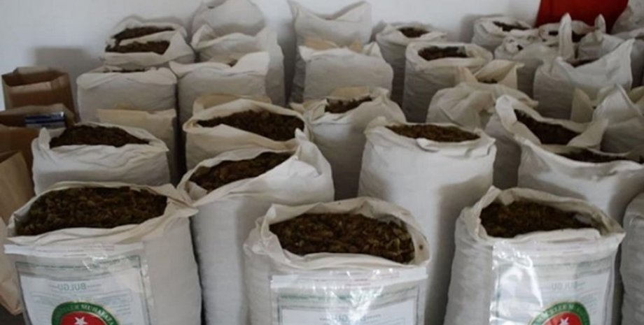 Фото: Daily Sabah