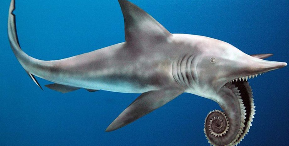 палеонтология, окаменелость, останки, океан, челюсти, рыба, акула, рот, пила, морские существа, древние существа, загадка, исследования