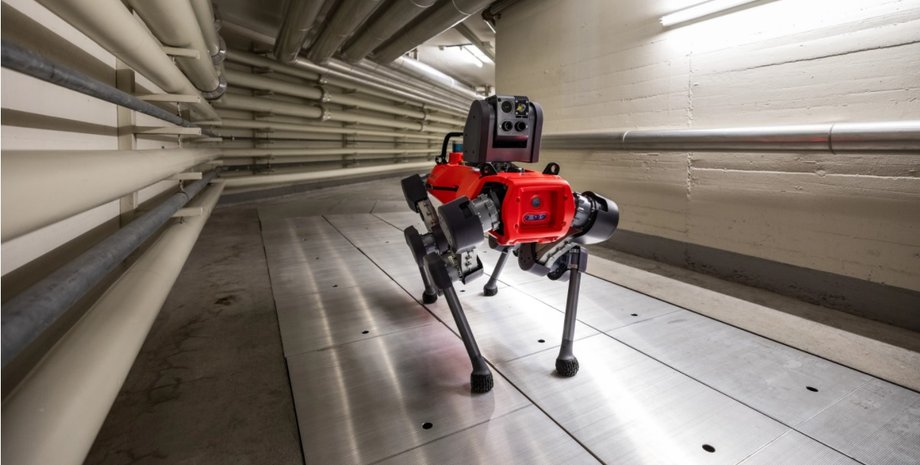 ANYmal D, робот-пес, робособака, робот, бот