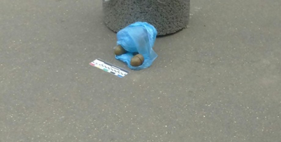 Опасная находка на митинге в Кривом Роге / Фото: пресс-служба Нацполиции