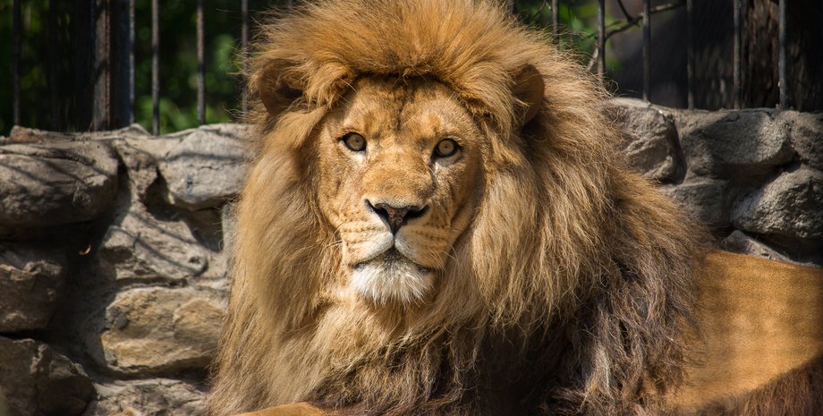 Иллюстративное фото: Pikabu