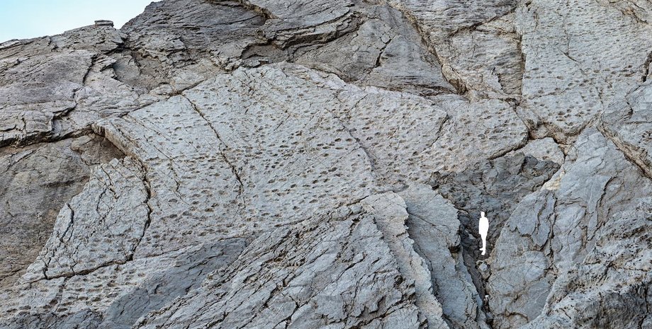 В Альпах знайшли сліди динозаврів
