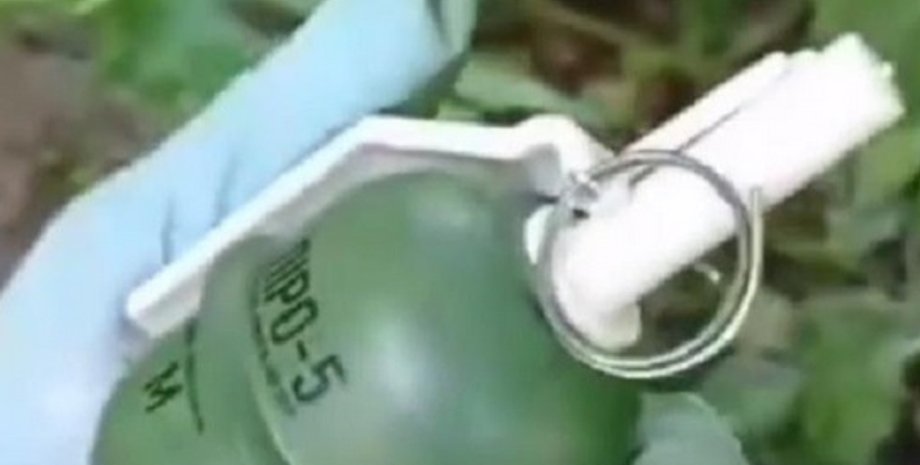 Фото: Скриншот