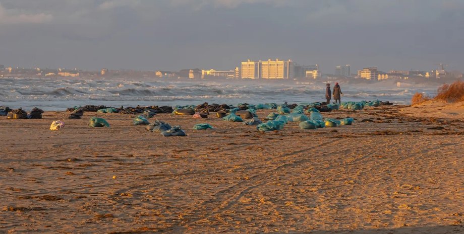 гибель китообразных, гибель китов