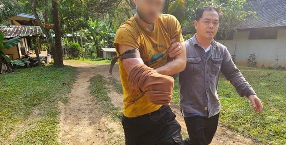 Нападение медведя в зоопарке Таиланда