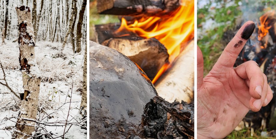 березовый деготь неандертальцы