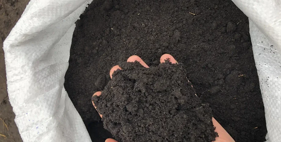 Продажа украинского чернозема в России