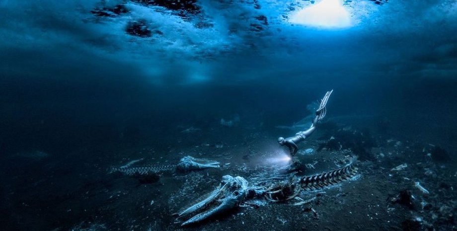 киты, убитые киты, скелеты китов