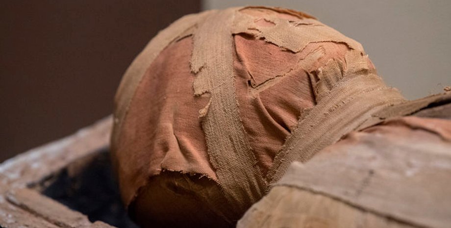 Фото: Эрмитаж