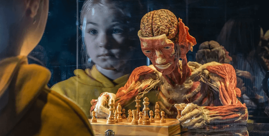 Body Worlds, виставка Body Worlds, виставка трупів