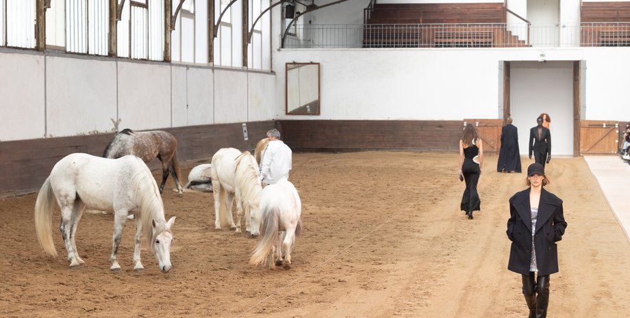 лошади, новая колеекция