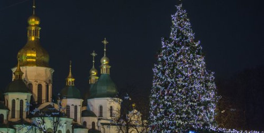 Главная елочка страны / Фото УНИАН