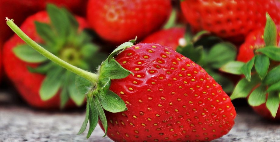 клубника, размер клубники, клубника размер