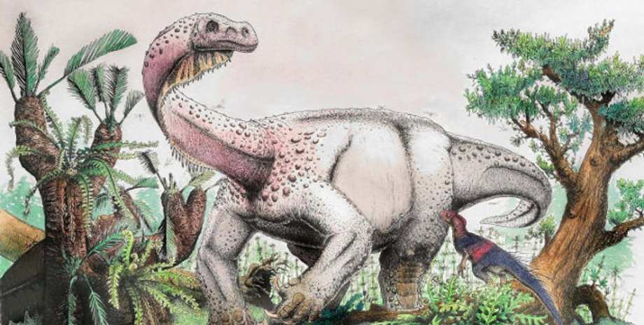 Viktor Radermacher / University of the Witwatersrand