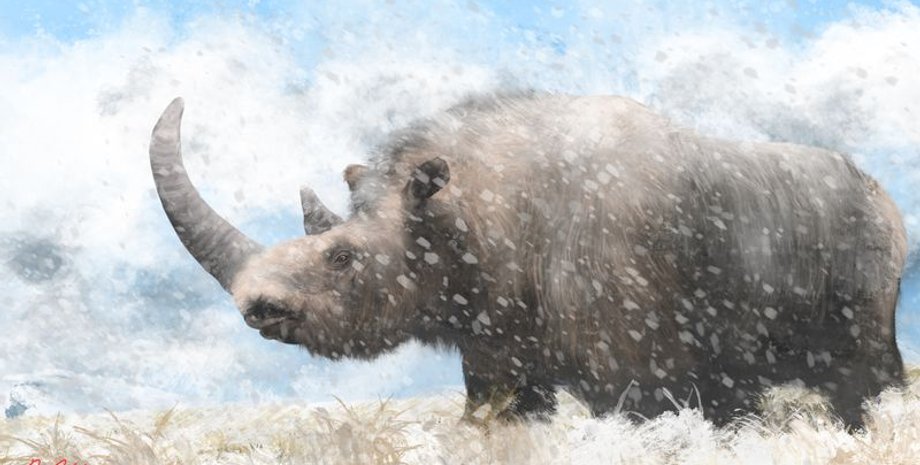 Геном волохатого носорога, Реконструкція мітохондріальної ДНК, Аналіз стародавньої ДНК, Плейстоценове вимирання, Європейські доісторичні види, Дослідження генетичного походження, Вплив зміни клімату на дику природу, Палеонтологічні відкриття